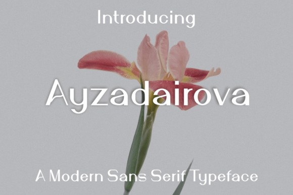 Ayzadairova: A Sans Serif Font That Makes Your Campaigns Instantly Clear