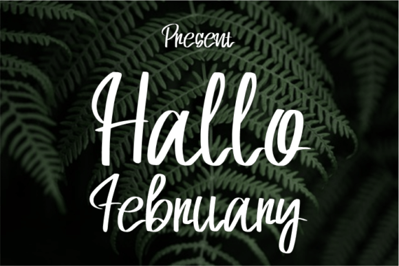 Hallo February: A Modern Script Typeface for Editorial Calm